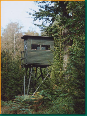 hochsitz.jpg
