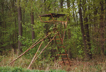 Ansitzleiter