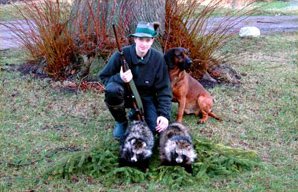 Marderhunde