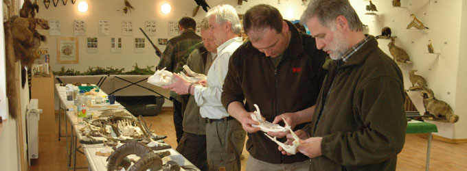 Ausbildung