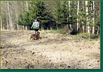 wildacker_2.jpg